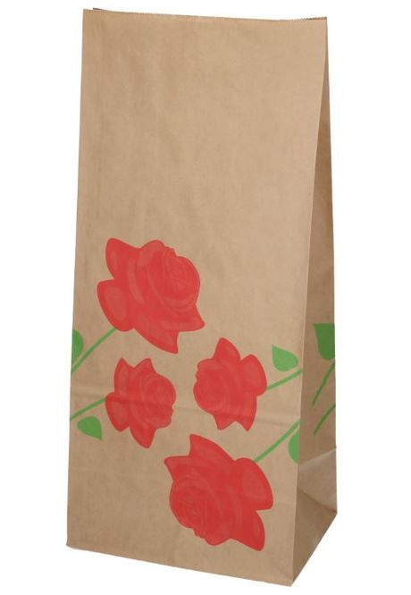 Hovedbilde Plantepose motiv 25X13X48CM 200 stk.